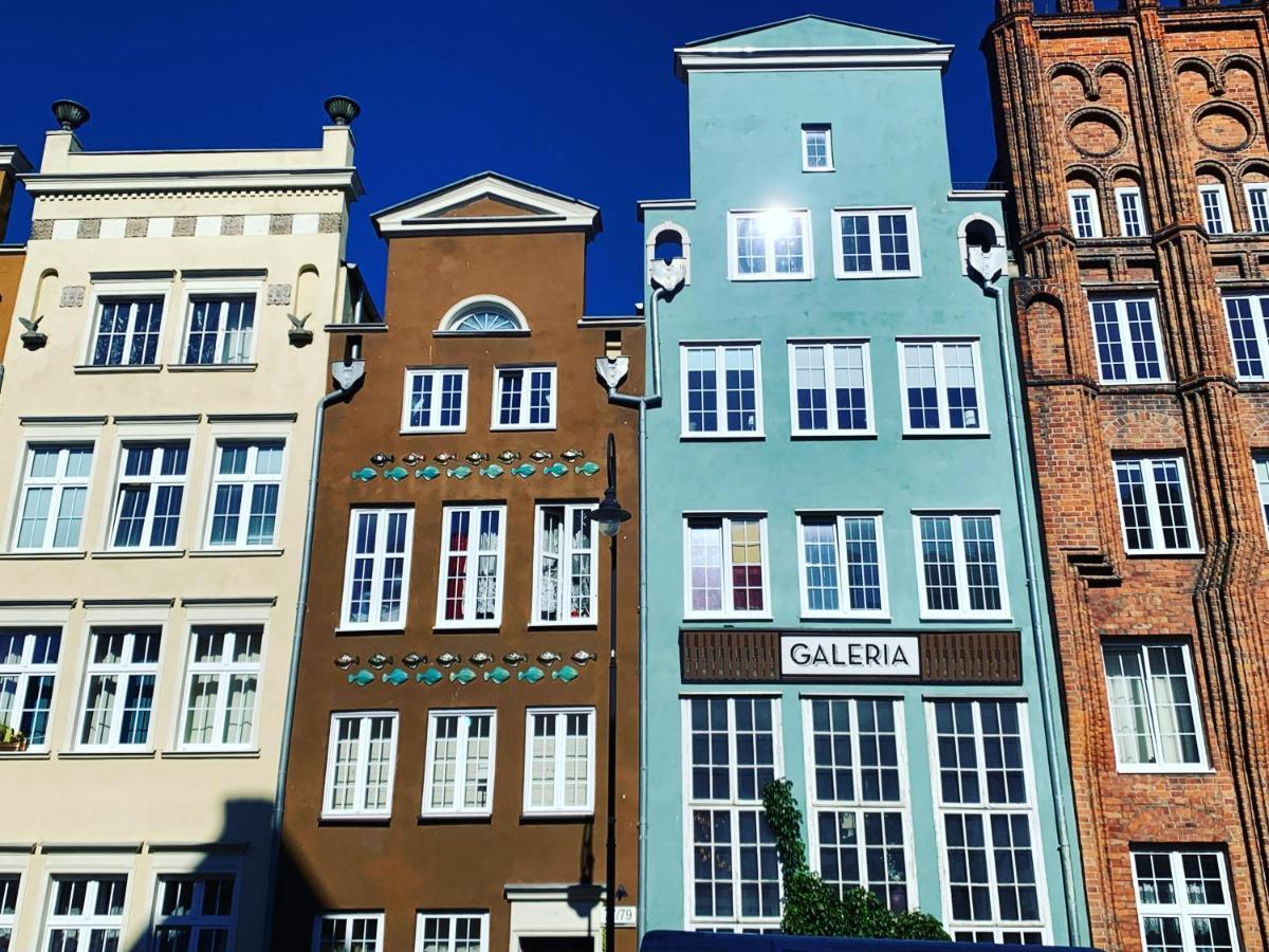 Nap Nadmotławie Marina Gdańsk